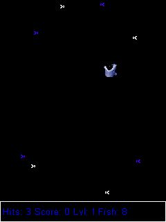 Bunnyaruga